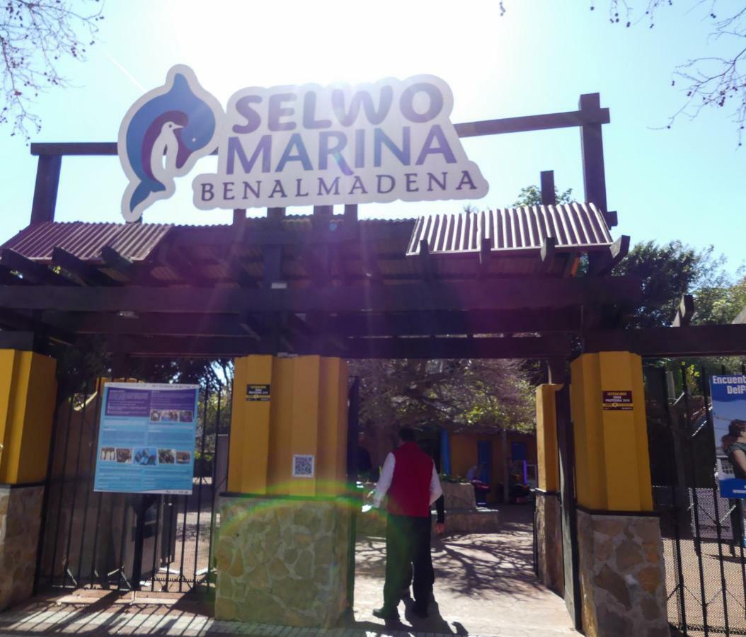 Apartamento Vacacional A 1 Minuto De La Playa - Carihuela 托雷莫利诺斯 外观 照片