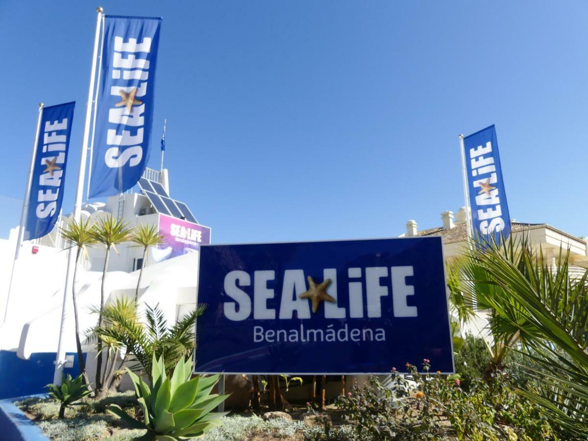 Apartamento Vacacional A 1 Minuto De La Playa - Carihuela 托雷莫利诺斯 外观 照片